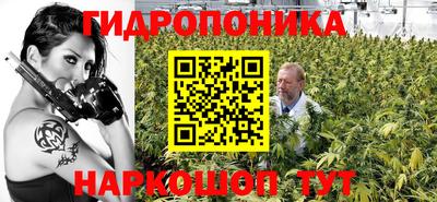 сатива Кулебаки