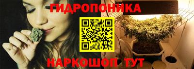 сатива Кулебаки